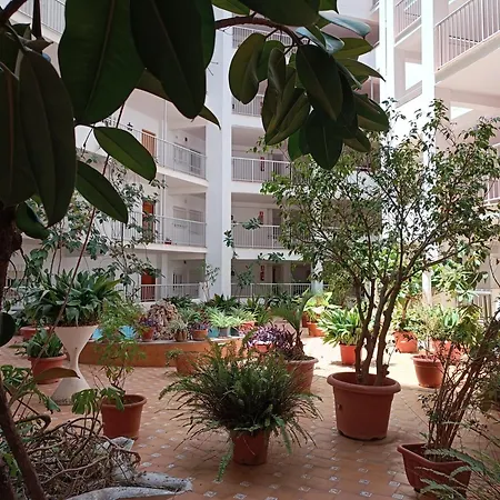 Amazing Appartement *