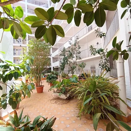 Amazing * كولرا