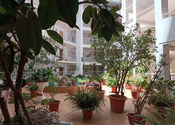 Amazing Apartament *